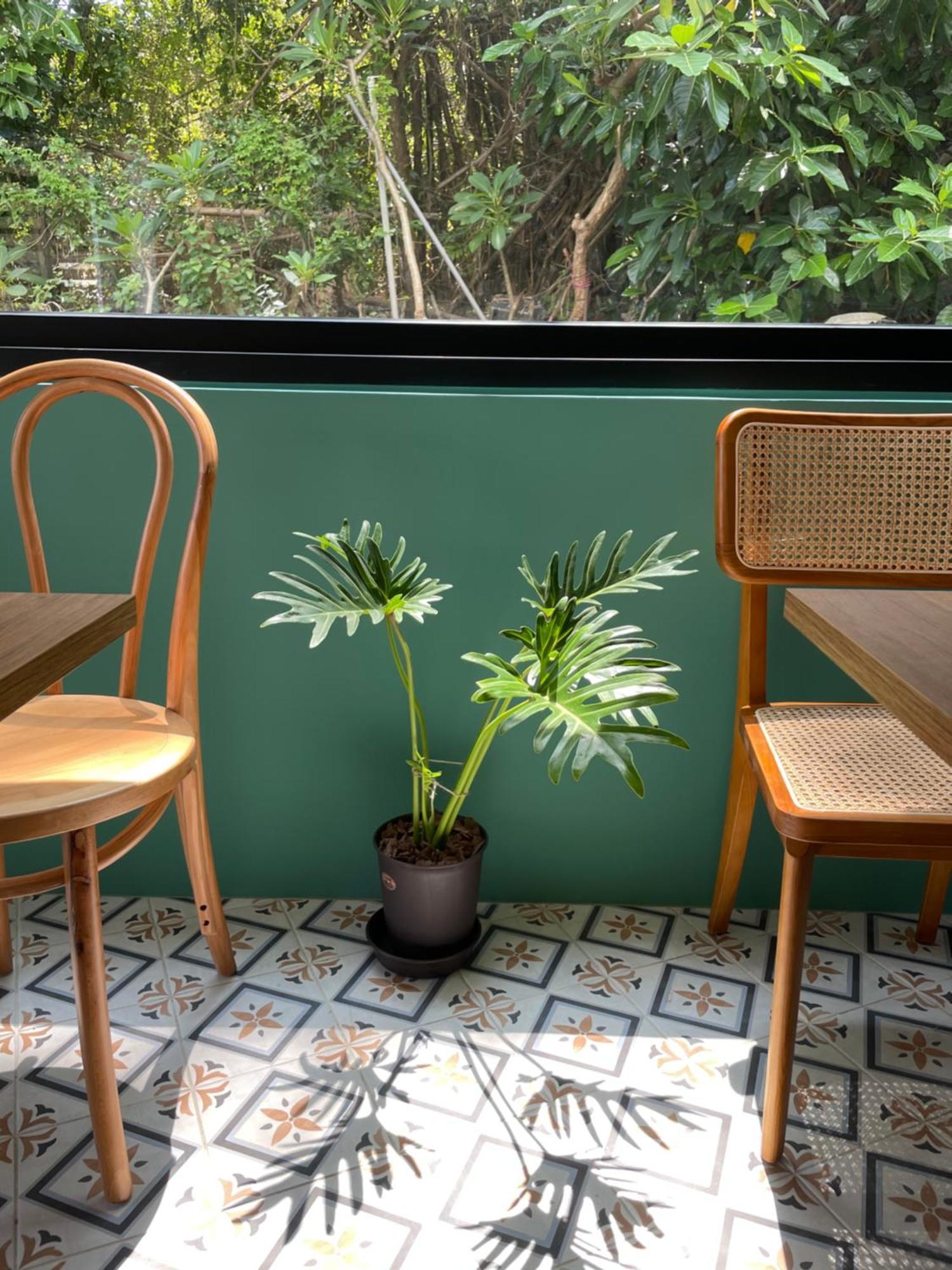 Lixia Hostel Xiaoliuqiu Luaran gambar